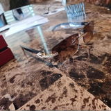 Juelz_Knr review photo