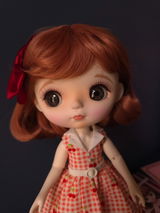 Kristine's Doll Shelf review photo