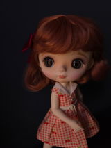 Kristine's Doll Shelf review photo