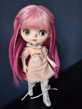 Kristine's Doll Shelf review photo