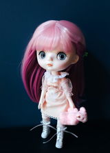 Kristine's Doll Shelf review photo