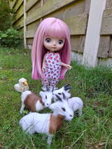 Nickysdollyworld review photo