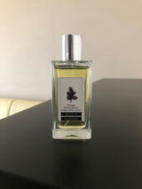 Stefano review photo