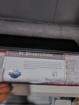 Thiago Freire Pereira review photo