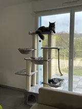 Kittie McDermott review photo