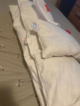 Maria Tomoioaga review photo