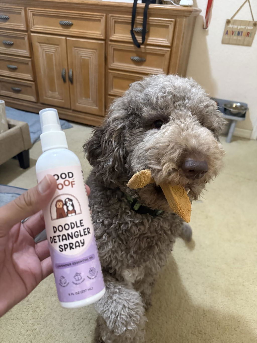 Doodle Detangler Spray