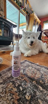 Amazon Customer review photo