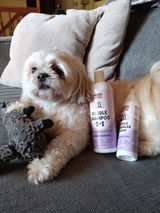Amazon Customer review photo