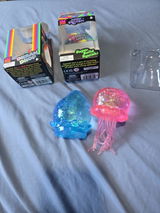 Noemy review photo