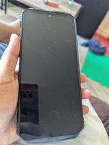 Shogin Lal review photo