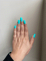 danichy nobbe review photo