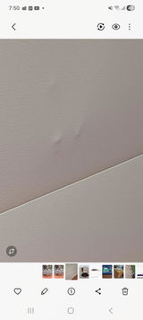 Angelo Said review photo