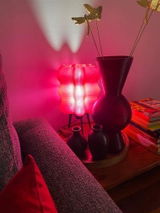 Anju review photo
