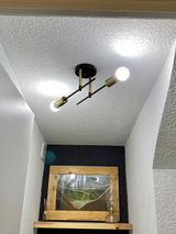 Excelente producto review photo