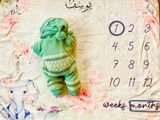 The Cute Elephant Baby Milestone Blanket – Personalized Photo Prop & Gift