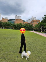 Hyeon review photo