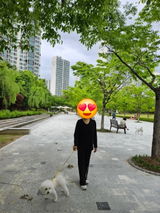 Hyeon review photo