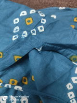 Shilpa Wilkins review photo