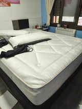 David Palma Plandolit review photo