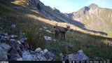 Rudolf review photo