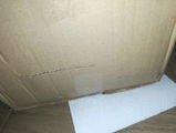 GONZALEZ T. review photo