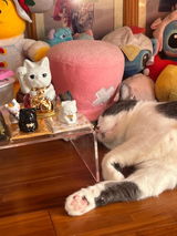 愛 review photo