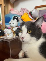 愛 review photo