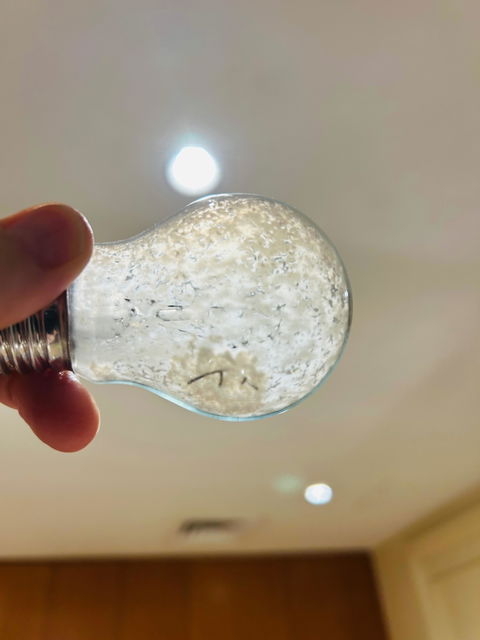 Philips GLS Incandescent E27 230V 100W Frosted Light Bulb