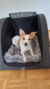 Kerstin review photo