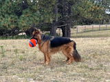 Susan review photo