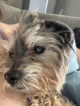 Flossie’s Mum review photo