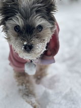 Flossie’s Mum review photo