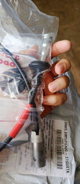 Renata Sanches review photo