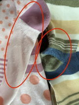 Leann B. review photo