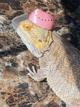 Holly S. review photo
