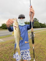 Logan Criscione review photo