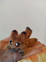 Elena K. review photo