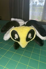 Tess W. review photo