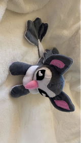 Alina review photo