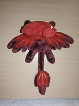 Iris B. review photo