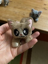 Tina review photo