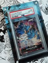 Ali M. review photo