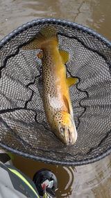 Alec review photo