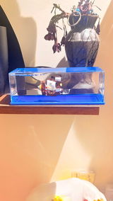 Rishi review photo