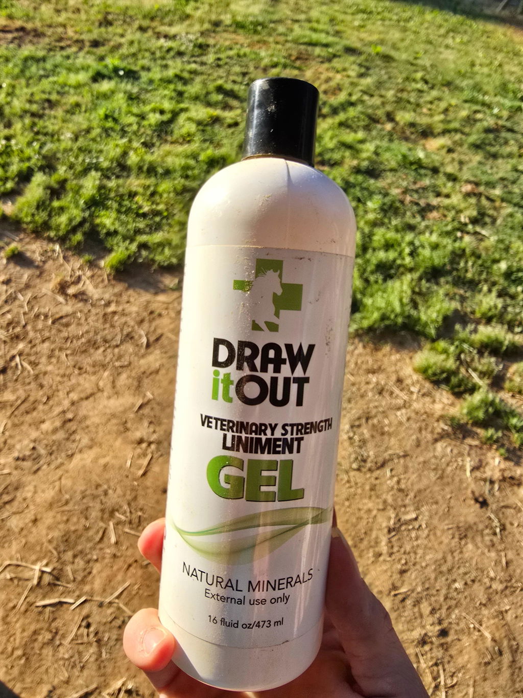Draw It Out® 16oz Liniment Gel | Daily Horse Care