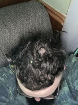 Anonymous review photo