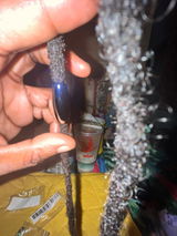 Bee review photo