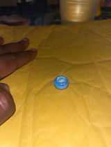 Bee review photo