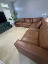 taylor m review photo